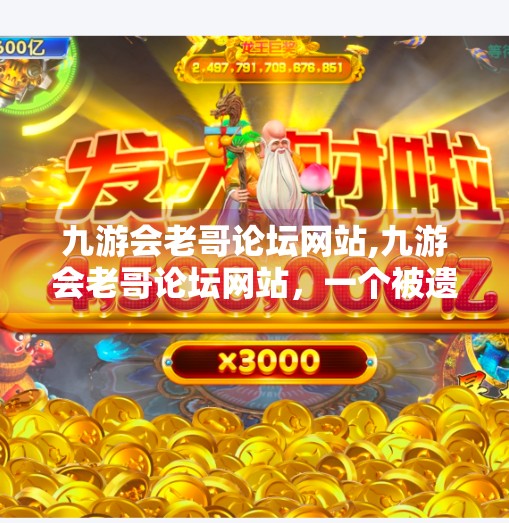 九游会老哥论坛网站,九游会老哥论坛网站，一个被遗忘的游戏江湖，藏着多少玩家的青春回忆？