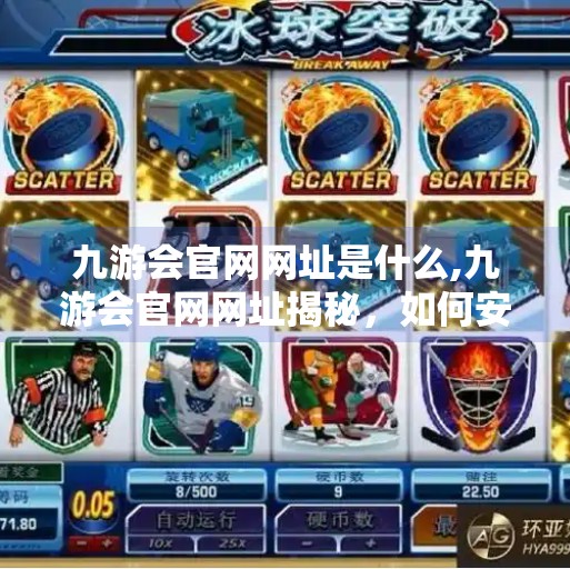 九游会官网网址是什么,九游会官网网址揭秘，如何安全访问与辨别真假网站？
